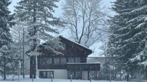 Chalet by the River in Gstaad With Sauna
